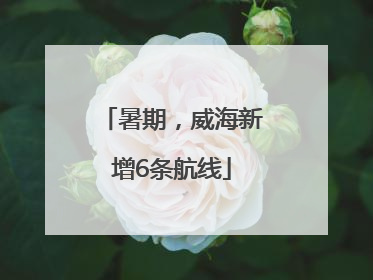 暑期，威海新增6条航线