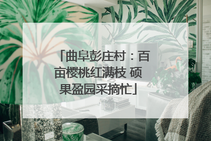 曲阜彭庄村：百亩樱桃红满枝 硕果盈园采摘忙