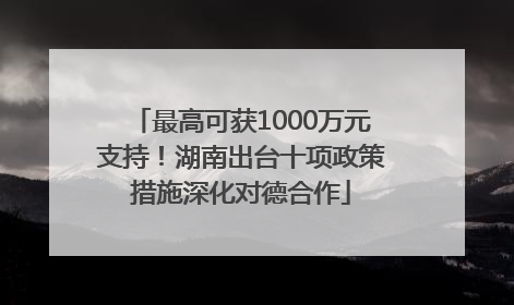 最高可获1000万元支持！湖南出台十项政策措施深化对德合作