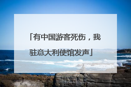有中国游客死伤，我驻意大利使馆发声