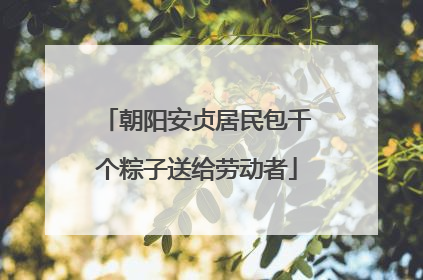 朝阳安贞居民包千个粽子送给劳动者