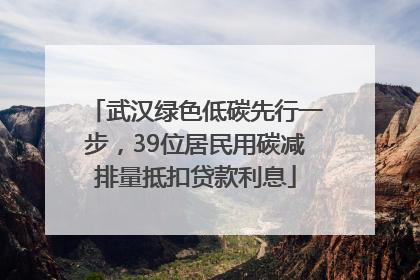武汉绿色低碳先行一步，39位居民用碳减排量抵扣贷款利息