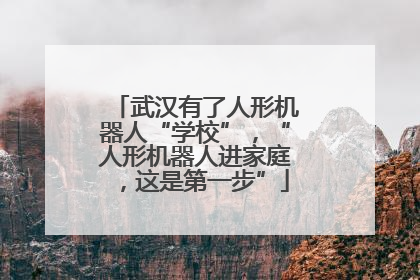 武汉有了人形机器人“学校”，“人形机器人进家庭，这是第一步”
