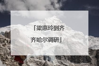 梁惠玲到齐齐哈尔调研