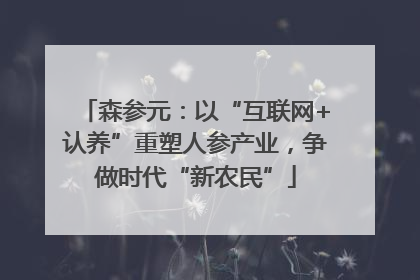 森参元：以“互联网+认养”重塑人参产业，争做时代“新农民”