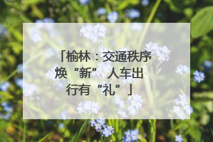 榆林：交通秩序焕“新” 人车出行有“礼”