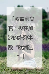 欧盟前高官：投在加沙的炸弹半数“欧洲造”