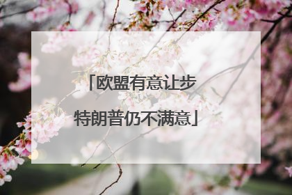 欧盟有意让步 特朗普仍不满意