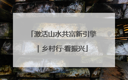 激活山水共富新引擎｜乡村行·看振兴