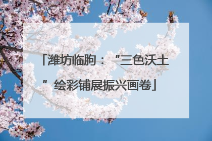 潍坊临朐：“三色沃土”绘彩铺展振兴画卷
