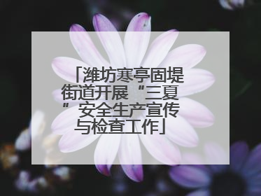 潍坊寒亭固堤街道开展“三夏”安全生产宣传与检查工作