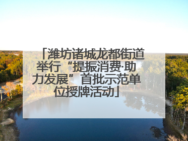 潍坊诸城龙都街道举行“提振消费·助力发展”首批示范单位授牌活动