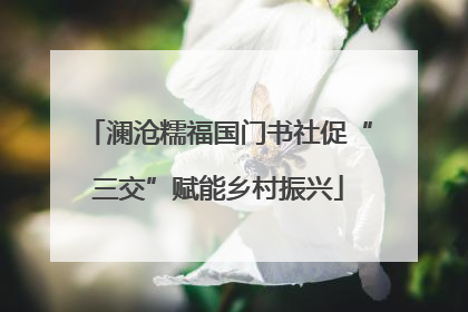 澜沧糯福国门书社促“三交”赋能乡村振兴