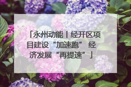 永州动能丨经开区项目建设“加速跑” 经济发展“再提速”