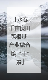永春：千亩良田筑根基 产业融合绘“丰”景