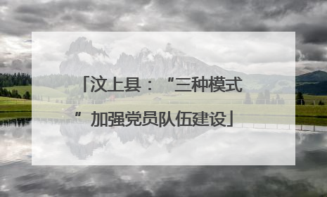 汶上县：“三种模式”加强党员队伍建设