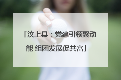汶上县：党建引领聚动能 组团发展促共富