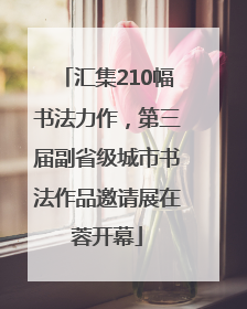 汇集210幅书法力作，第三届副省级城市书法作品邀请展在蓉开幕