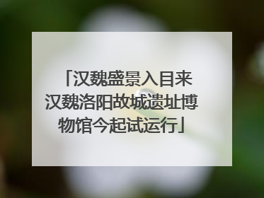 汉魏盛景入目来 汉魏洛阳故城遗址博物馆今起试运行
