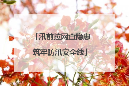 汛前拉网查隐患 筑牢防汛安全线