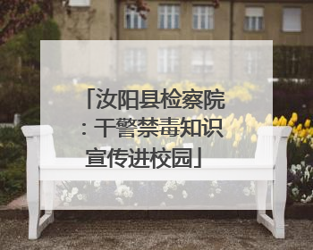汝阳县检察院：干警禁毒知识宣传进校园