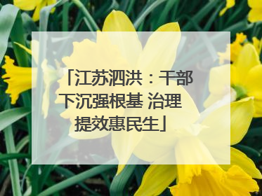 江苏泗洪：干部下沉强根基 治理提效惠民生