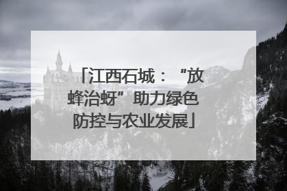 江西石城：“放蜂治蚜”助力绿色防控与农业发展