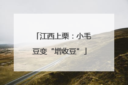 江西上栗：小毛豆变“增收豆”