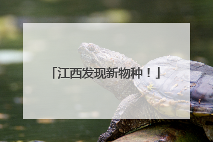 江西发现新物种！
