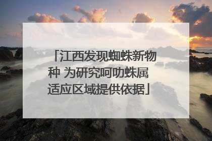 江西发现蜘蛛新物种 为研究呵叻蛛属适应区域提供依据