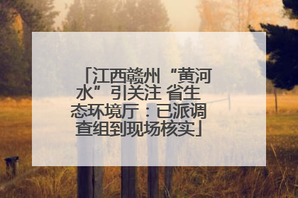 江西赣州“黄河水”引关注 省生态环境厅：已派调查组到现场核实