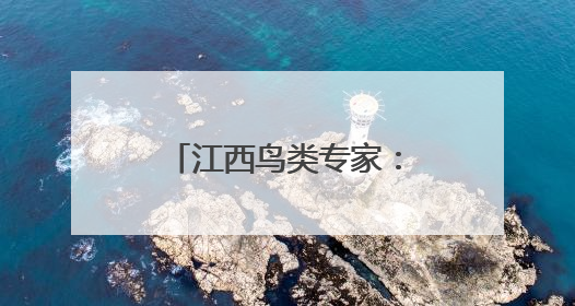 江西鸟类专家：彩鹮筑巢或撬动全年观鸟经济链