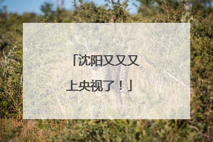 沈阳又又又上央视了！