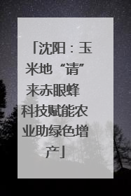 沈阳：玉米地“请”来赤眼蜂 科技赋能农业助绿色增产