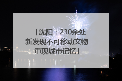 沈阳：230余处新发现不可移动文物重现城市记忆