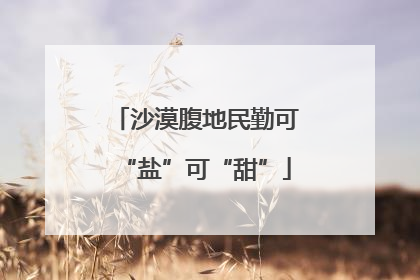 沙漠腹地民勤可“盐”可“甜”
