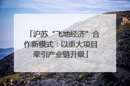 沪苏“飞地经济”合作新模式：以重大项目牵引产业链升级