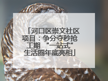 河口区崇文社区项目：争分夺秒抢工期 “一站式”生活圈年底亮相