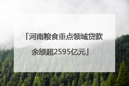 河南粮食重点领域贷款余额超2595亿元