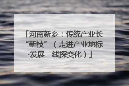 河南新乡：传统产业长“新枝”（走进产业地标·发展一线探变化）