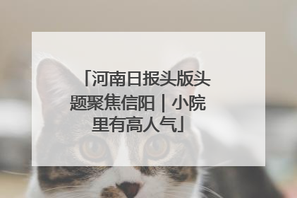 河南日报头版头题聚焦信阳｜小院里有高人气