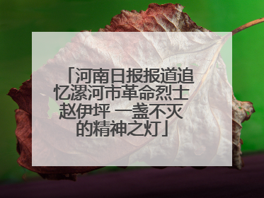 河南日报报道追忆漯河市革命烈士赵伊坪 一盏不灭的精神之灯