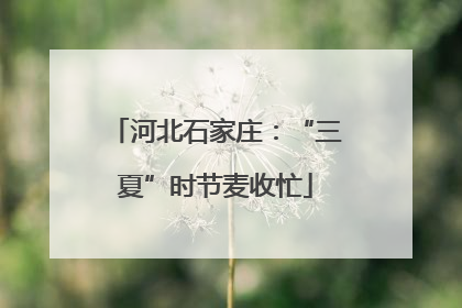 河北石家庄：“三夏”时节麦收忙