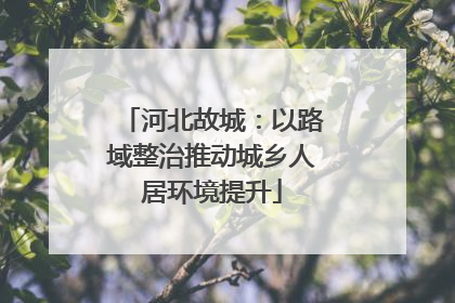 河北故城：以路域整治推动城乡人居环境提升