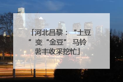 河北昌黎：“土豆”变“金豆” 马铃薯丰收采挖忙