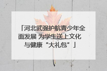 河北武强护航青少年全面发展 为学生送上文化与健康“大礼包”