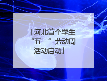 河北首个学生“五一”劳动周活动启动