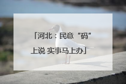 河北：民意“码”上说 实事马上办