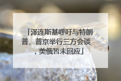 泽连斯基呼吁与特朗普、普京举行三方会谈，美俄暂未回应