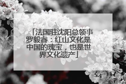 法国驻沈阳总领事罗毅睿：红山文化是中国的瑰宝，也是世界文化遗产